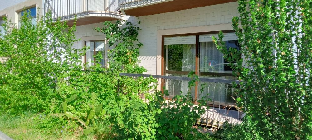 Apartamento rés do chão Sátão