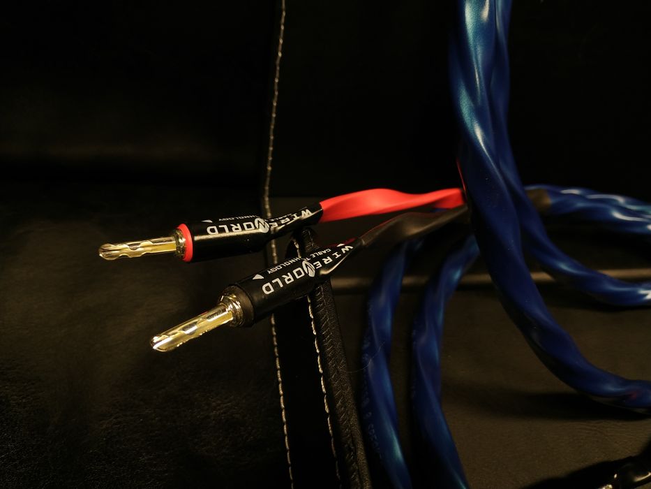 WireWorld Oasis 10 wtyki silver kable głośnikowe konfekcja Trans Audio