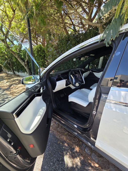 Tesla X 100D 2017