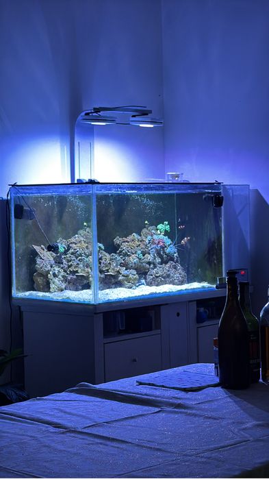 Aquário 200L 100x45x45