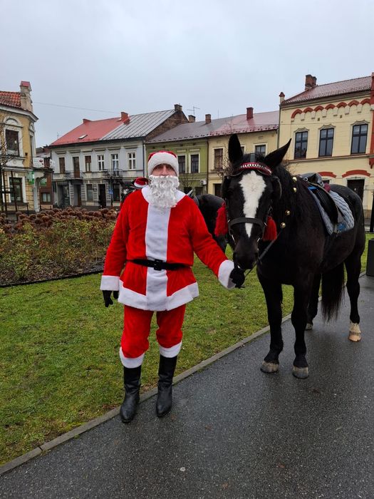 Koń 3-letni na sprzedaż