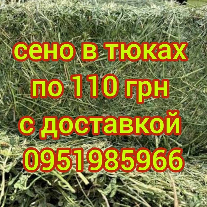 ‼️СІНО З ДОСТАВКОЮ від 1 шт в тюках мешках, сено (могары и др виды)‼️