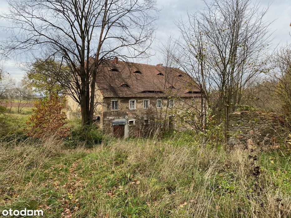 Poniemiecki zadbany dom do remontu, duża działka