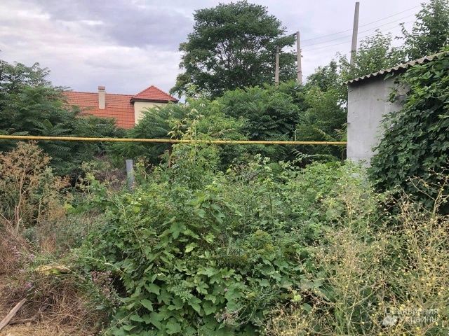 Оказываем услуги