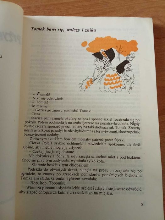 Przygody Tomka Sawyera - M. Twain