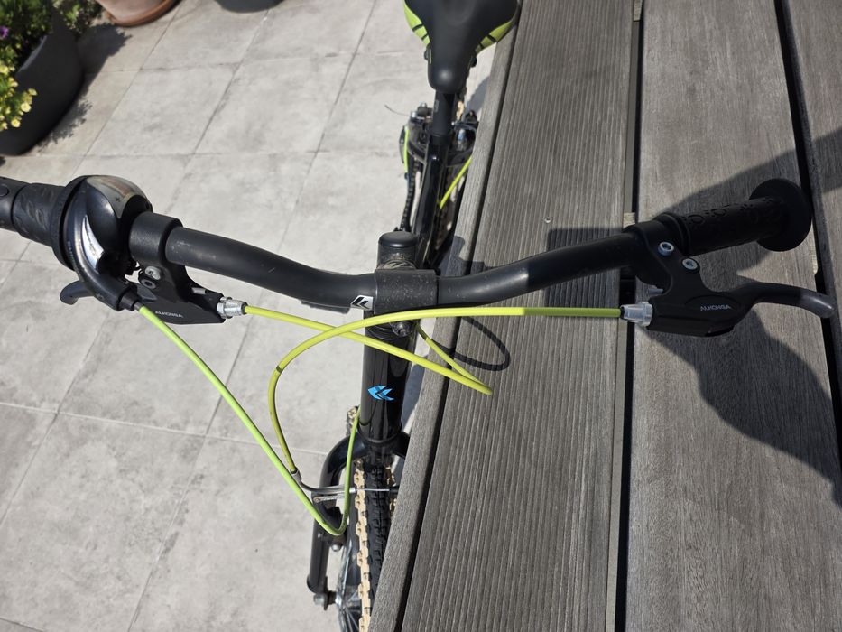 Rower Cross Esprit Kid 20 cali