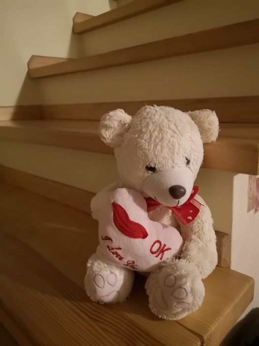 Pluszaki, misie różnej wielkości