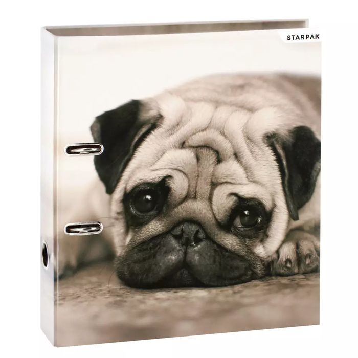 Segregator A4/70 Psy Starpak Pud1/20. Starpak. Nowy Produkt