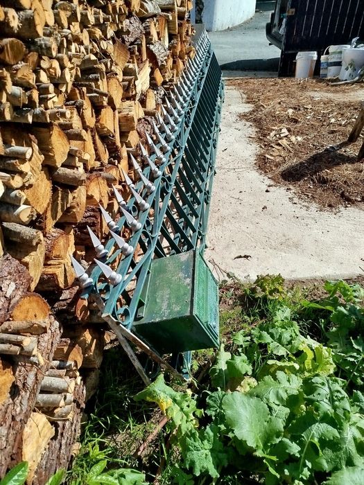 Grades de ferro para muro