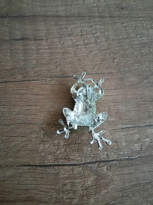 Broszka Żaba Frog