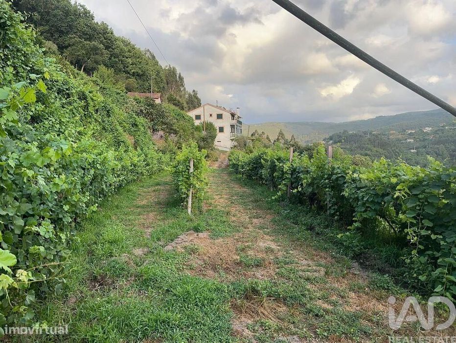 Quinta rural T4 em Valadares de 40000 m2