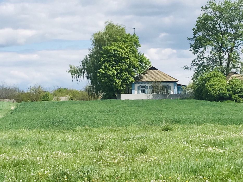 Продам дом Киевская обл.Згуровский район.