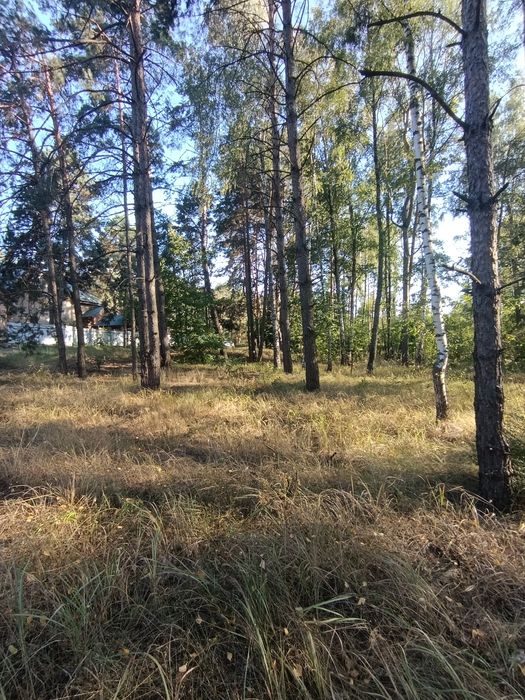 Продаж земельної ділянки с. Пилява