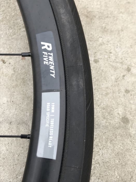 Kolo rose twenty five