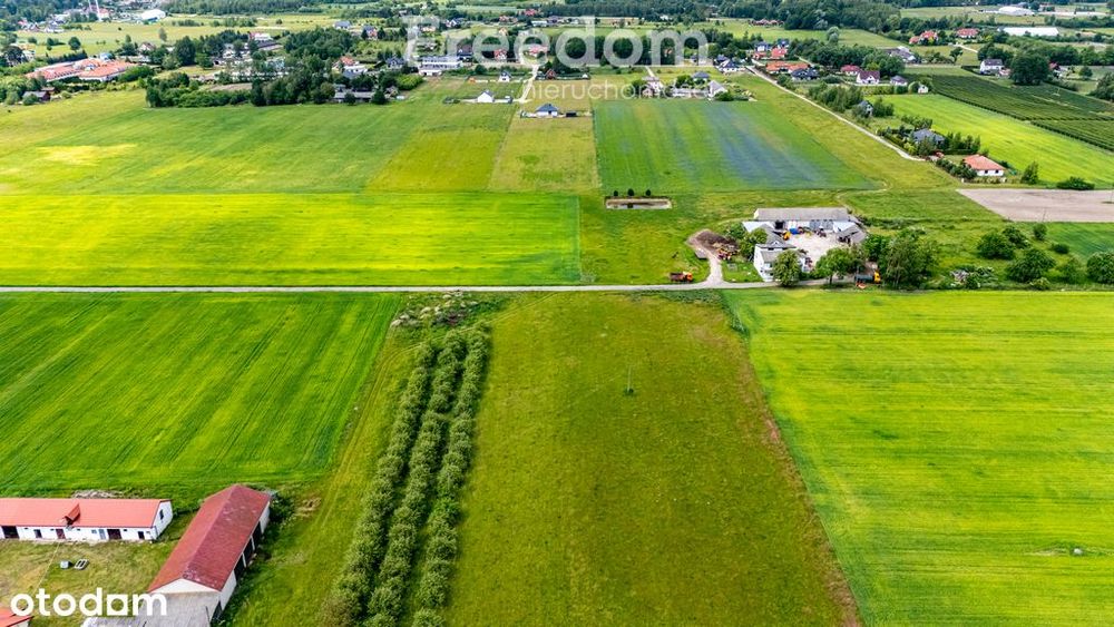 Działki budowlane – Prażmów, gm. Prażmów - Widok 3