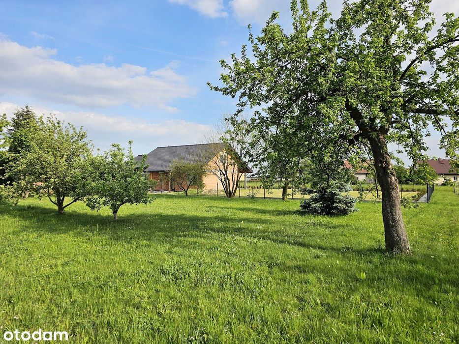 Szeroka działka 75 ar w bardzo dobrej lokalizacji w Mnikowie. - View 4