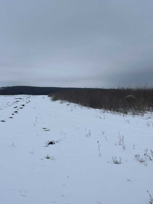 Оренда земельної ділянки, Хмельницька обл., площею 19,9800 га.