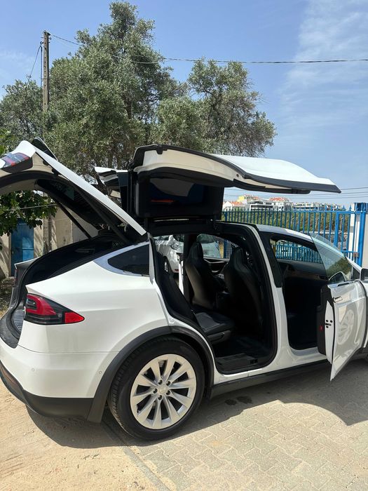 Tesla X 100 D Long Range, Nacional 2019