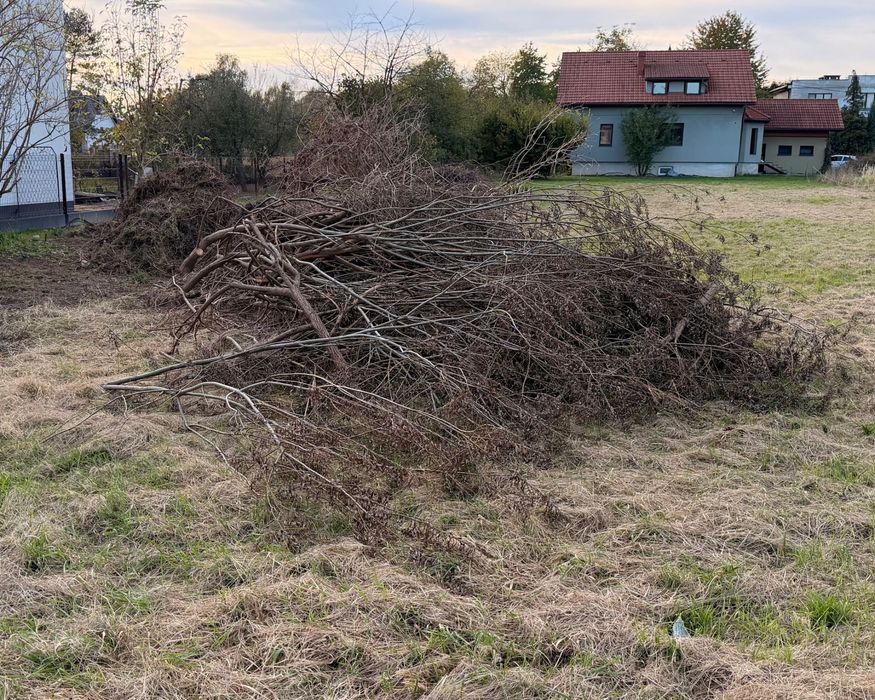 Oddam drewno na opał