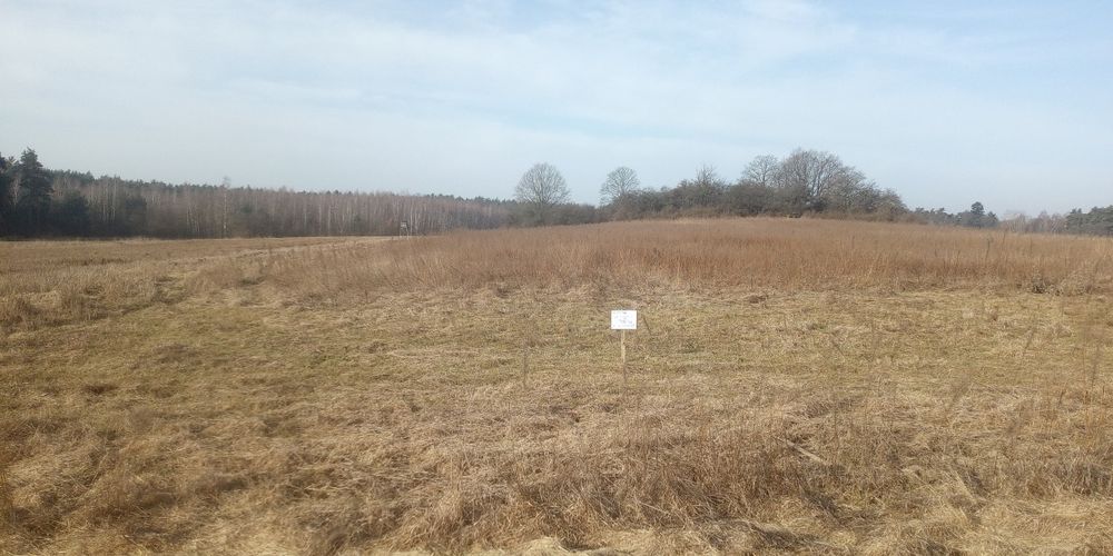 3 działki rolne 4,8 ha góra Sarnik - Widok 4
