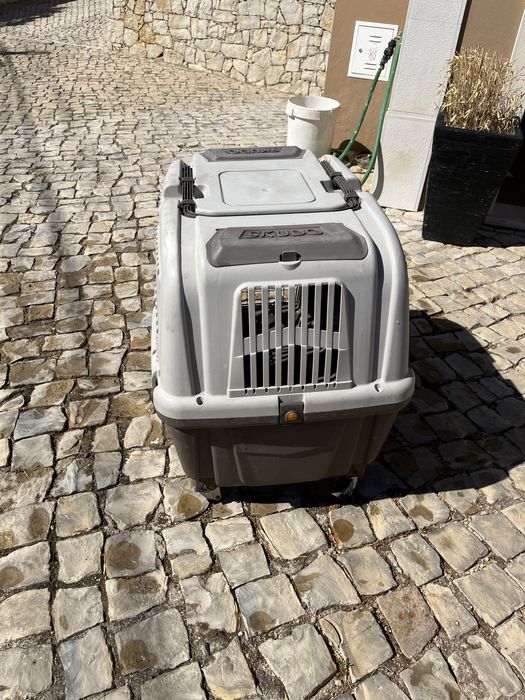 Gaiola transport cão