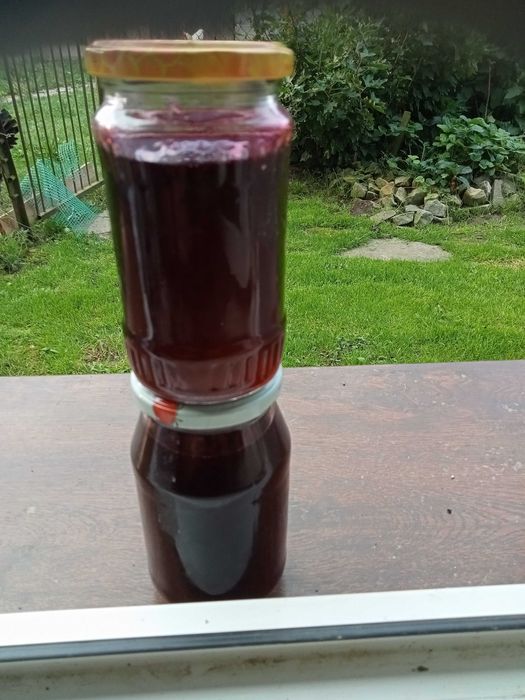 domowy sok syrop czarna porzeczka zbiór 2024