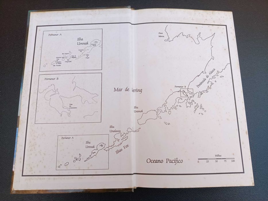Livro "Minha Irmã a Lua", Sue Harrison