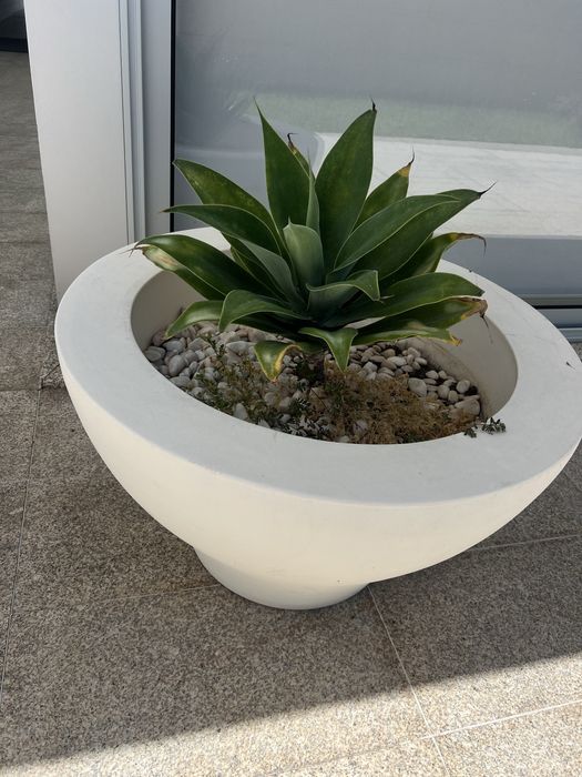 Vaso Serralunga modelo Ming