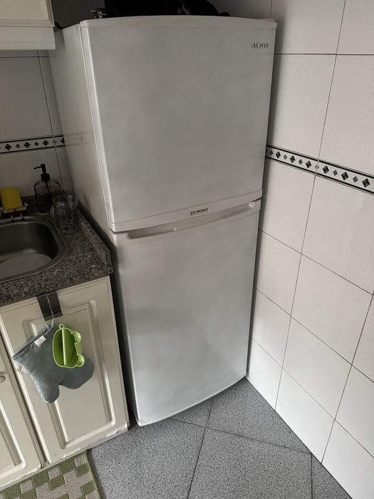 Frigorifico no frost (não está funcionando)