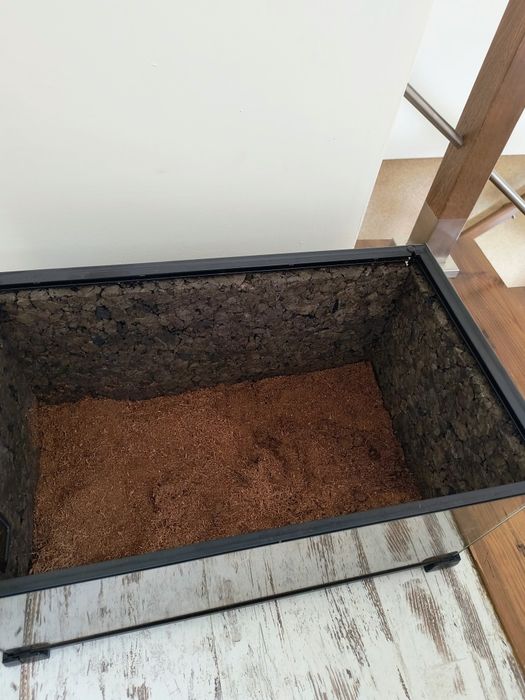 Terrarium 50x30x25