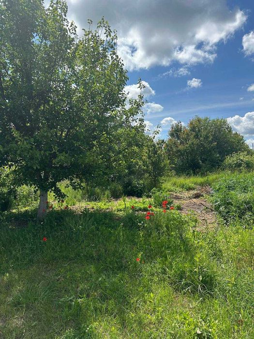 Продаж земельної ділянки в смт Киїнка, район "Дубки"