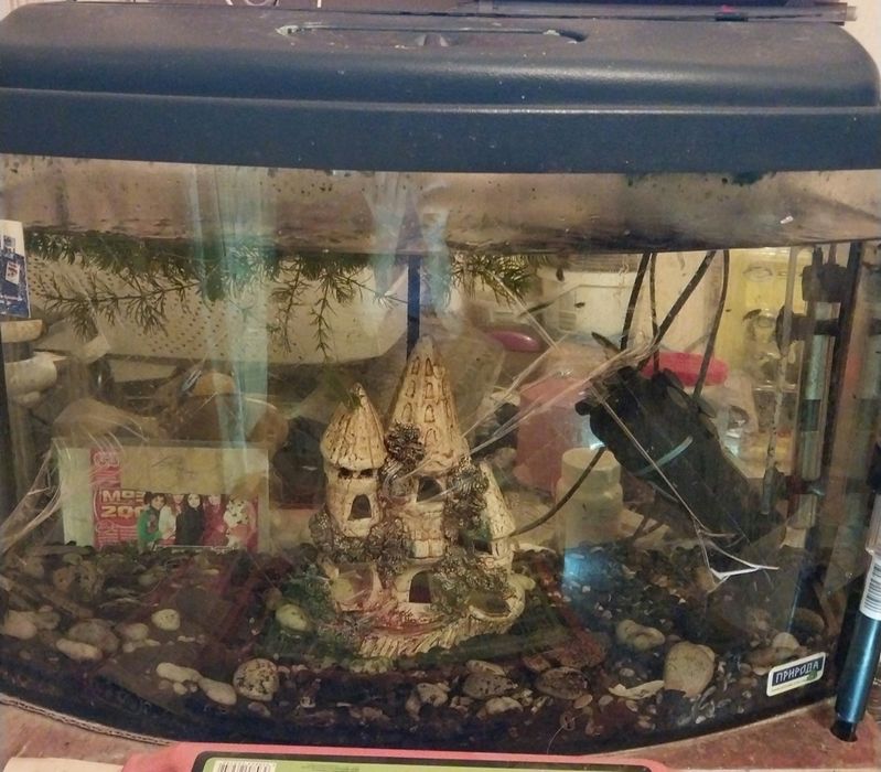 Продам акваріум 72л овал.