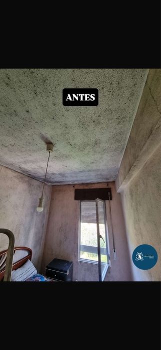 Tratamento de Mofo e Humidade | Serviço Profissional