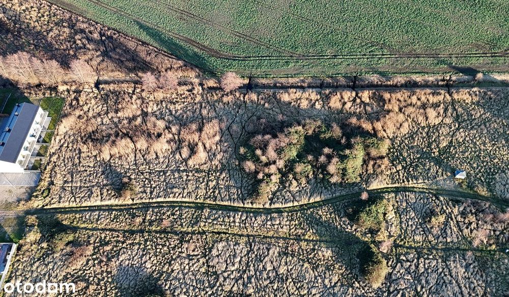 Działka Budowlana 1489 M² | Mpzp | 1,5 Km Od Plaży Dziwnówek | Morze ! - Widok 6