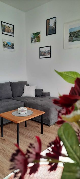 Apartament w centrum