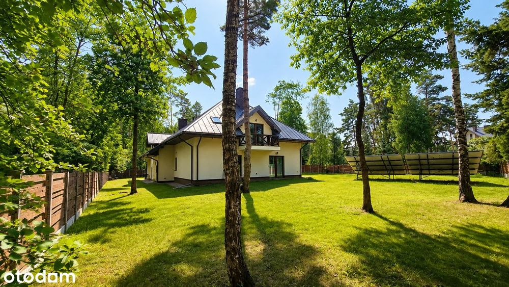 Zdjęcie 2