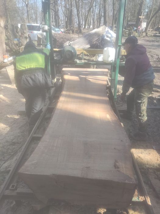 Monolity wiąz szerokie ponad 100 cm