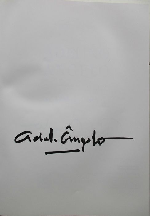 Sérgio Mourão - - - Adelino Ângelo - - Vida e Obra - - - - - Livro