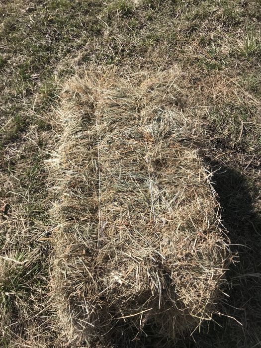 Продам сіно, солома в тюках.