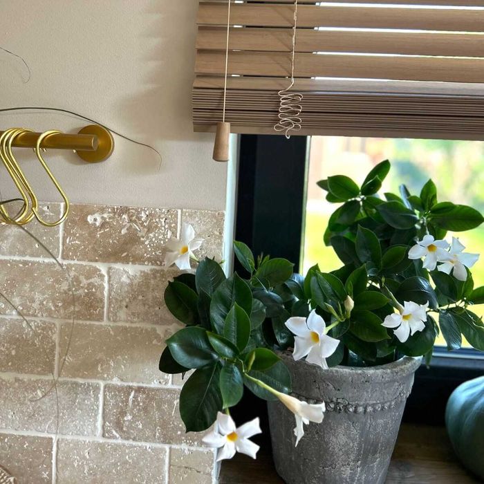 TRAWERTYN classic | bębnowane krawędzie | 15x7,5x1 cm