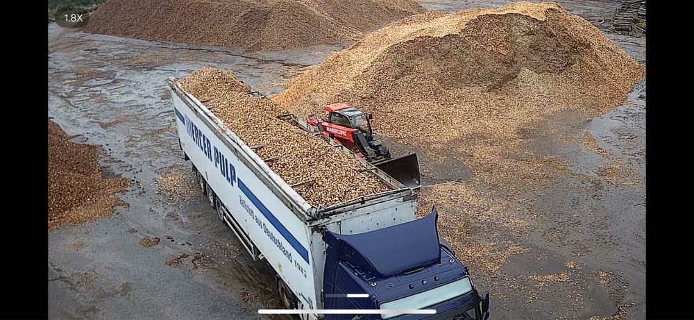 Щепа (тріска) твердих порід (граб, дуб, ясен.) не розліснення!