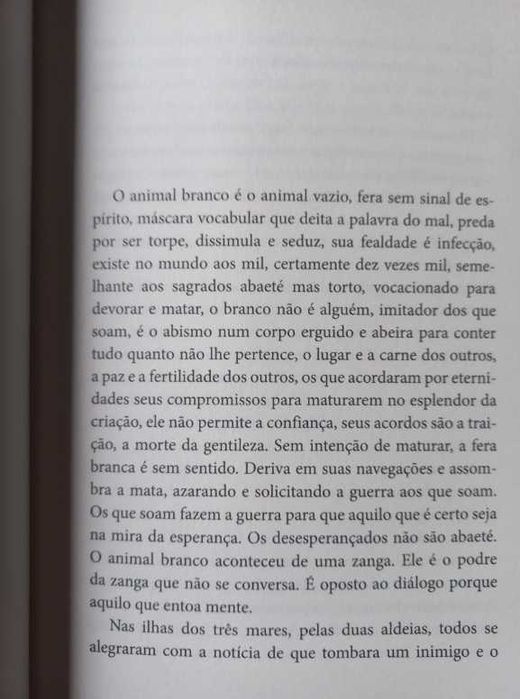 As Doenças do Brasil - Valter Hugo Mãe