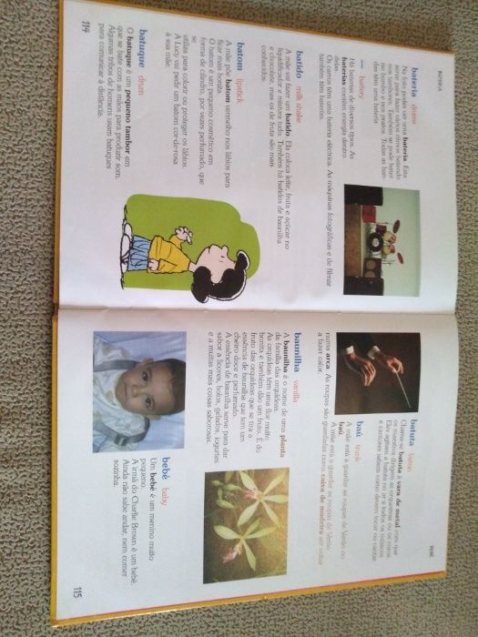 Dicionário de charlie Brown