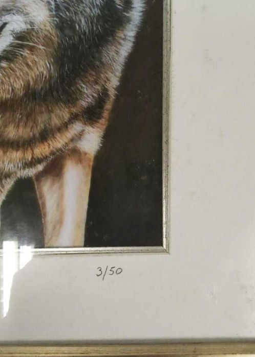 Conjunto de 3 Quadros Impressão Limitada