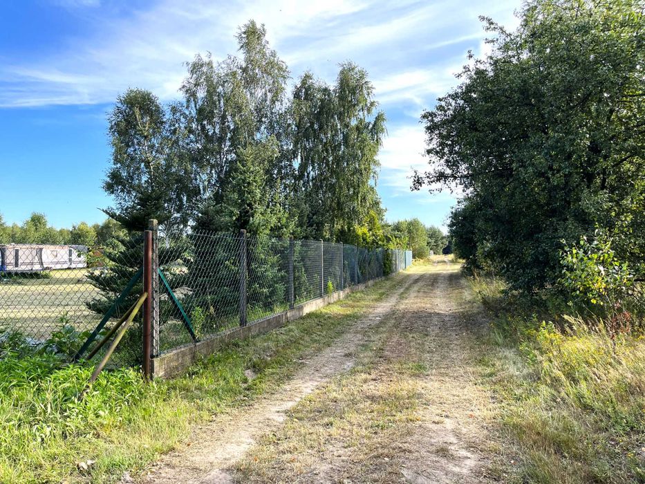 Zdjęcie 2
