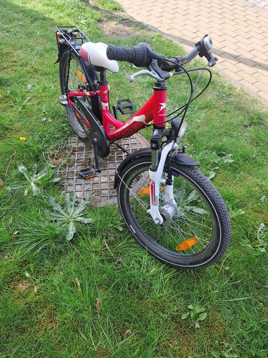 Rower 20cali Pegasus avanti