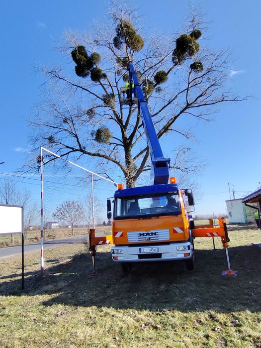Podnośnik koszowy 27m, wycinka drzew