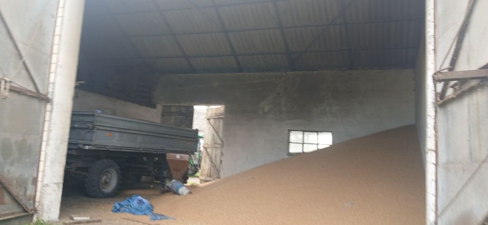 Wynajmę duży garaż 70m2