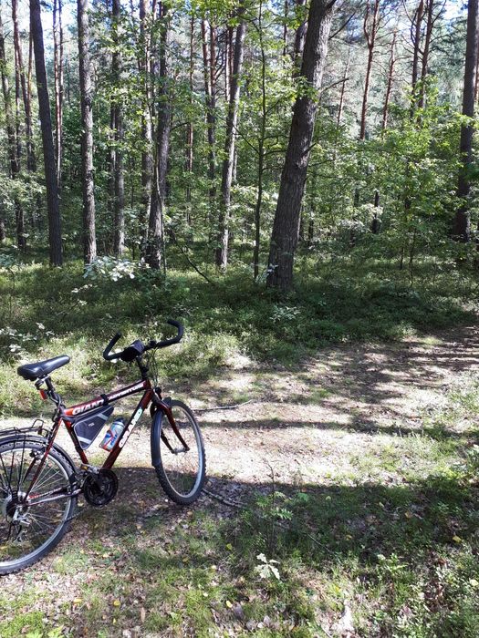 Rower Górski Grand  w bardzo dobrym stanie