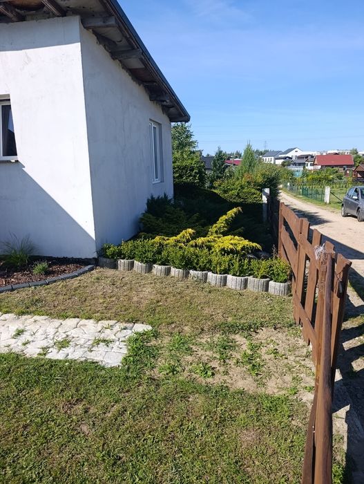 Działka ROD Gdańsk Jasień